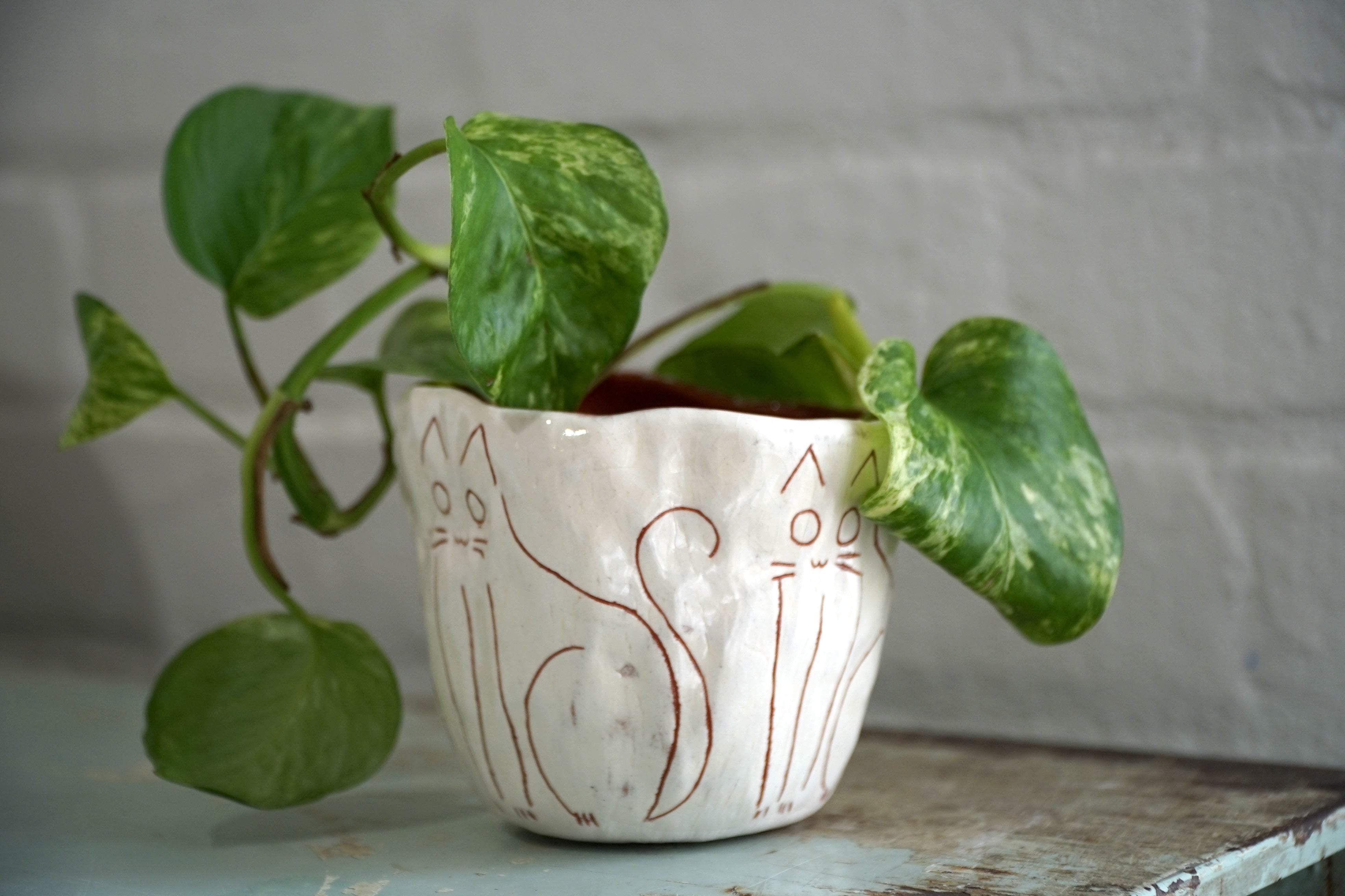 White & Terracotta Glazed Mini Planter w/ "Kitty" Design - Succulent Planter - Small Plant Pot - Propagating Planter - Seedling Pot