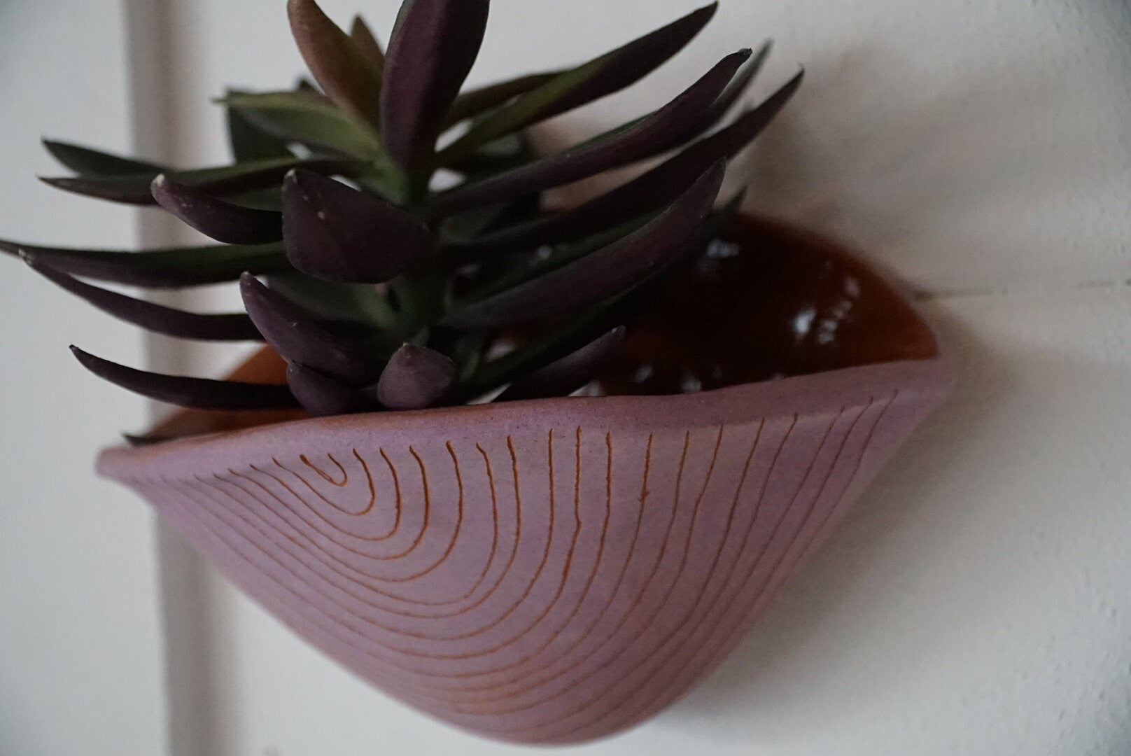 Purple & Terracotta Wall Pocket Planter w/ "Arc" Design - Ceramic Wall Planter - Pottery - Succulent Pot - Houseplant - Planter