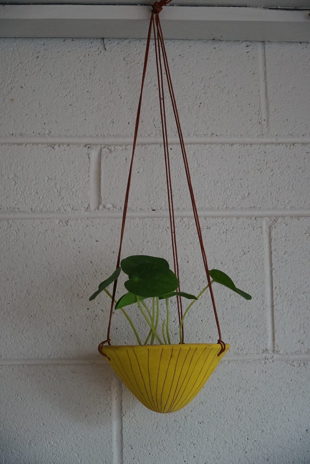 Bright Yellow & Terracotta Hanging Planter w/ Carved "Vertical Line" Design / Ceramic Hanging Pot / Pottery / Succulent / Houseplant