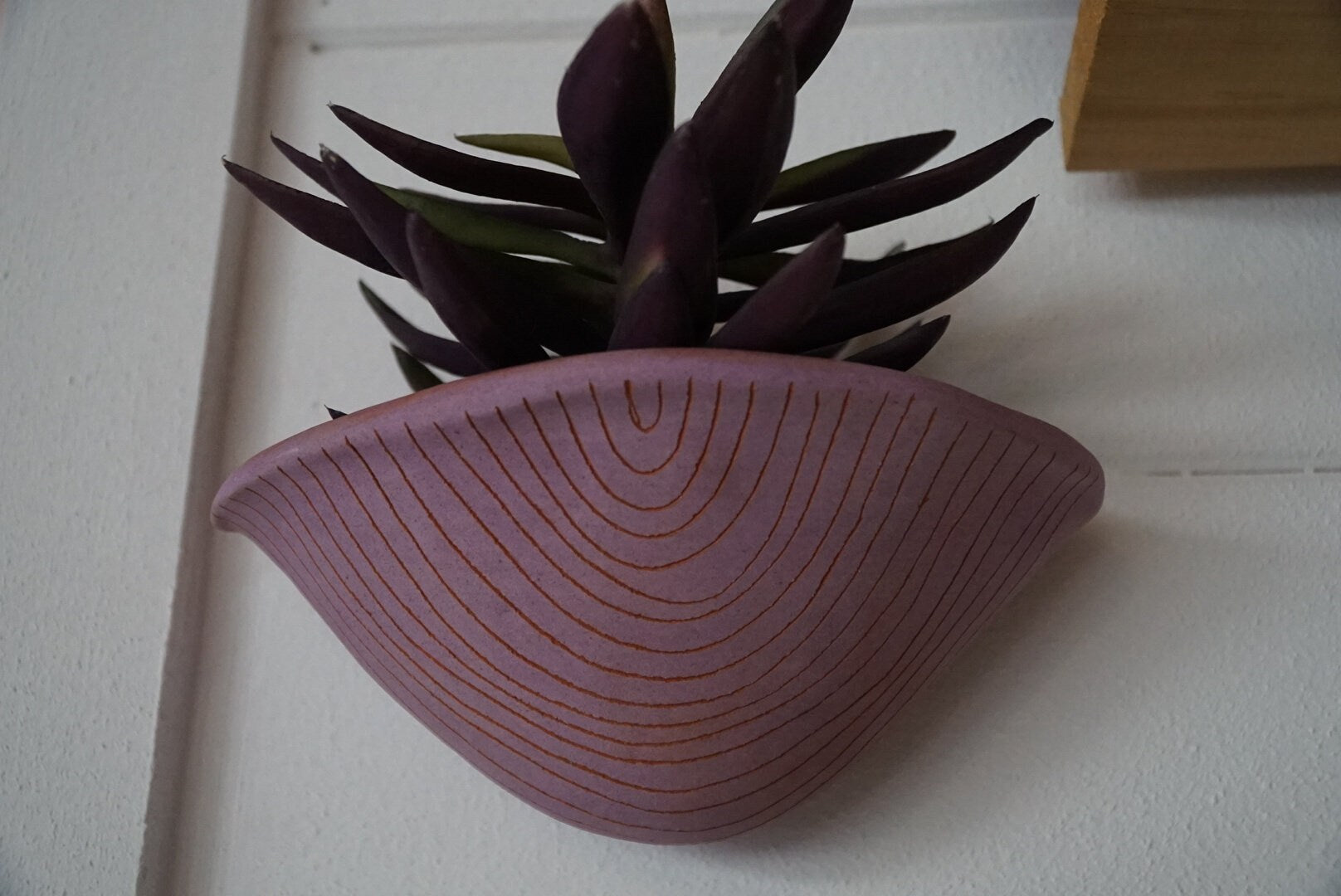 Purple & Terracotta Wall Pocket Planter w/ "Arc" Design - Ceramic Wall Planter - Pottery - Succulent Pot - Houseplant - Planter