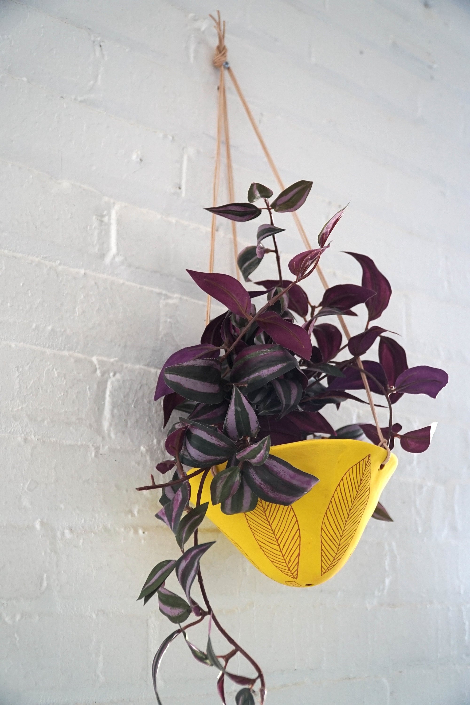 Bright Yellow & Terracotta Hanging Planter with Sgraffito "Leaf" Design - Bright Yellow Plant Hanger - Indoor Hanging Pot - Handmade Planter
